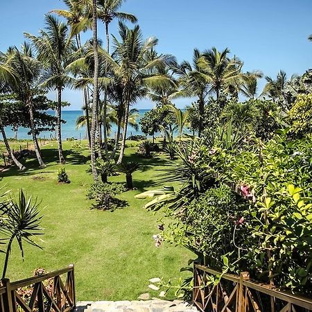 Jasmine La Playita - Ocean Front Lägenhet Las Galeras Exteriör bild