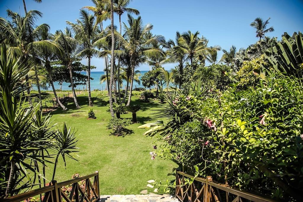 Jasmine La Playita - Ocean Front Lägenhet Las Galeras Exteriör bild