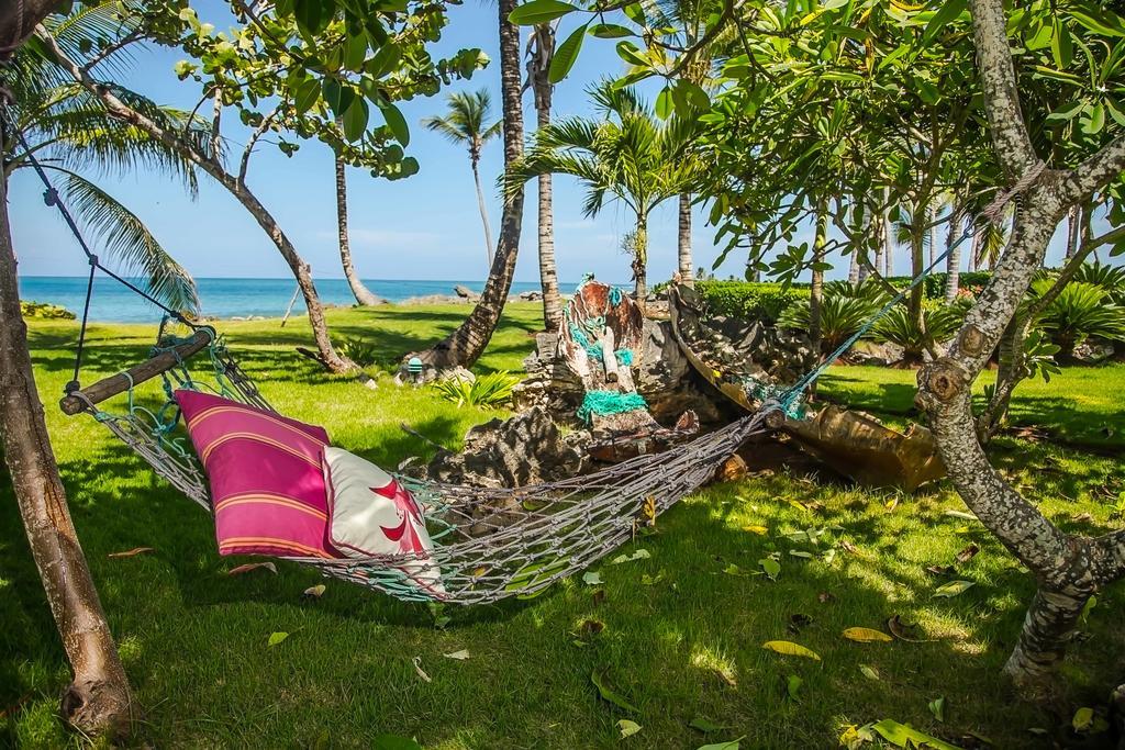 Jasmine La Playita - Ocean Front Lägenhet Las Galeras Exteriör bild