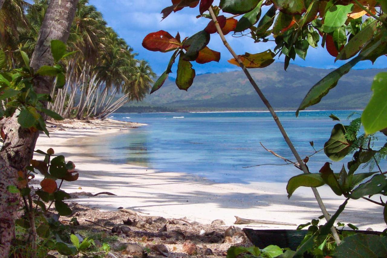 Jasmine La Playita - Ocean Front Lägenhet Las Galeras Exteriör bild