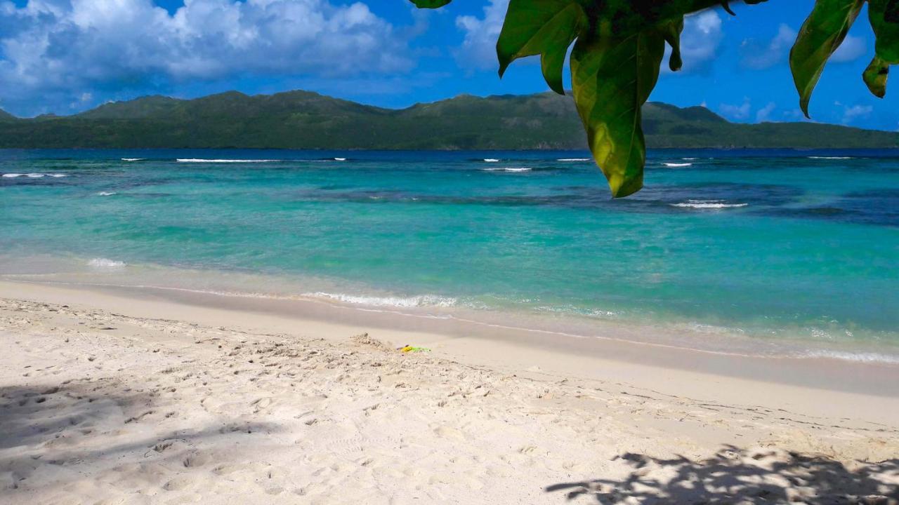 Jasmine La Playita - Ocean Front Lägenhet Las Galeras Exteriör bild