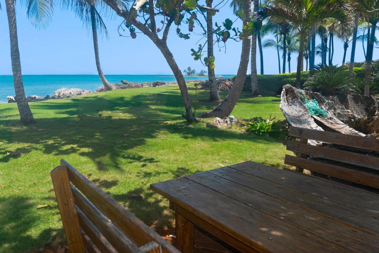Jasmine La Playita - Ocean Front Lägenhet Las Galeras Exteriör bild